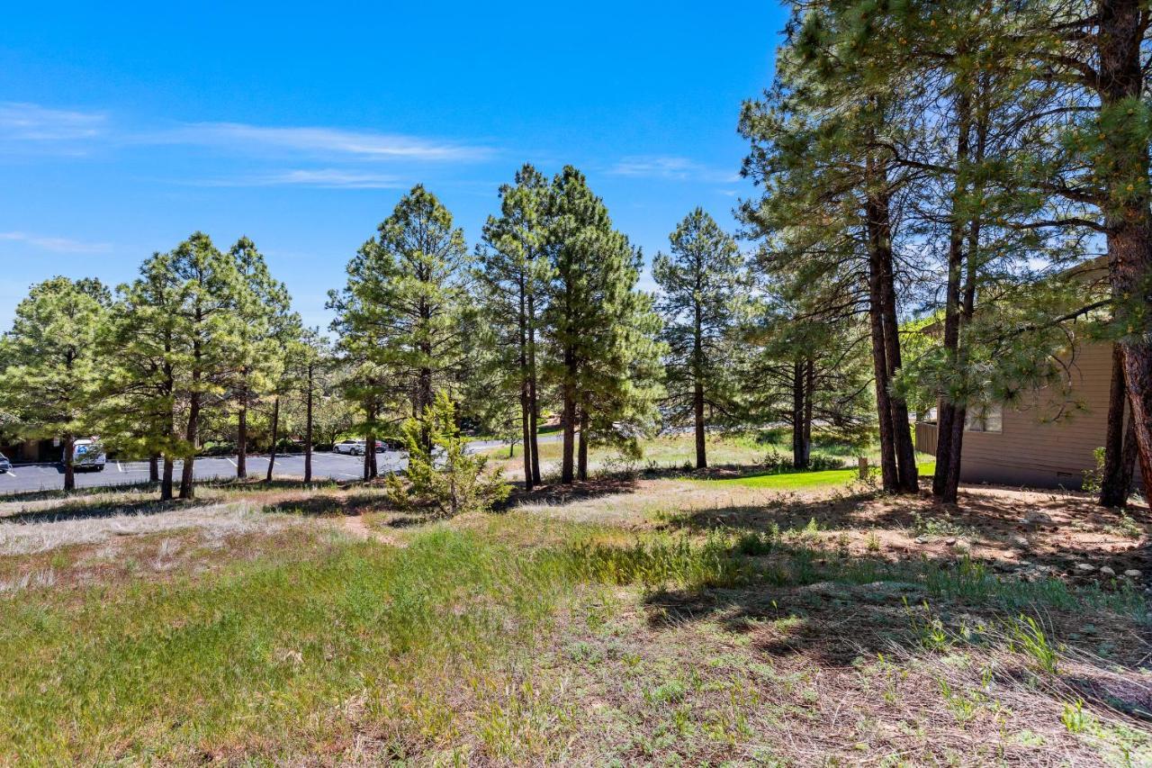 Delightful 1 Bdrm Country Club Retreat With Mt Elden Views! Villa Flagstaff Eksteriør billede
